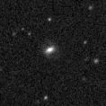 2021opk_image