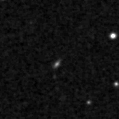 2021orn_image