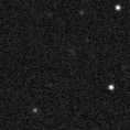 2021oty_image