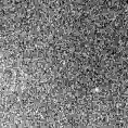 2021ouk_image