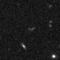 2021ovd_image