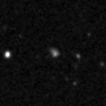 2021owl_image
