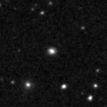 2021ozp_image