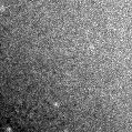 2021pap_image