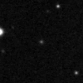 2021pdd_image