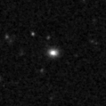 2021pdl_image
