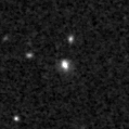 2021pdm_image