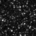 2021pdn_image