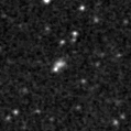 2021pfa_image