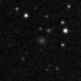 2021pgl_image