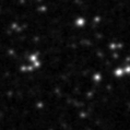 2021pif_image