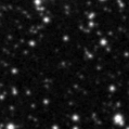 2021pkw_image