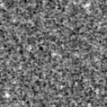 2021po_image