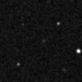 2021ppc_image