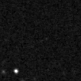 2021ppm_image