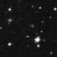 2021ppn_image