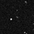 2021prl_image