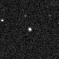 2021ptk_image