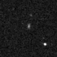 2021pus_image