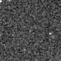 2021pyi_image