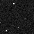 2021pyo_image