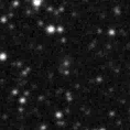 2021pzq_image