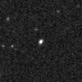 2021qas_image