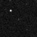 2021qcj_image