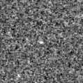 2021qdh_image