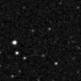 2021qhd_image
