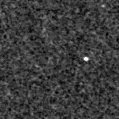 2021qhj_image