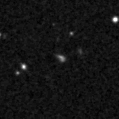 2021qi_image