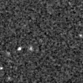 2021qjd_image