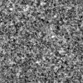 2021qjq_image