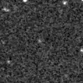 2021qjw_image