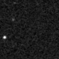 2021qlj_image