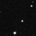 2021qlp_image