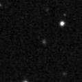 2021qlt_image
