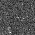 2021qmu_image