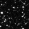 2021qxb_image