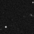 2021qzd_image