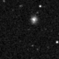 2021rao_image