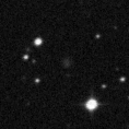 2021rcc_image