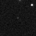2021rcv_image