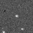 2021rdq_image