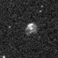 2021rf_image