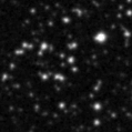 2021rfa_image