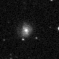 2021rfv_image