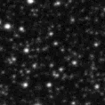 2021rjl_image