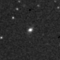 2021rkv_image